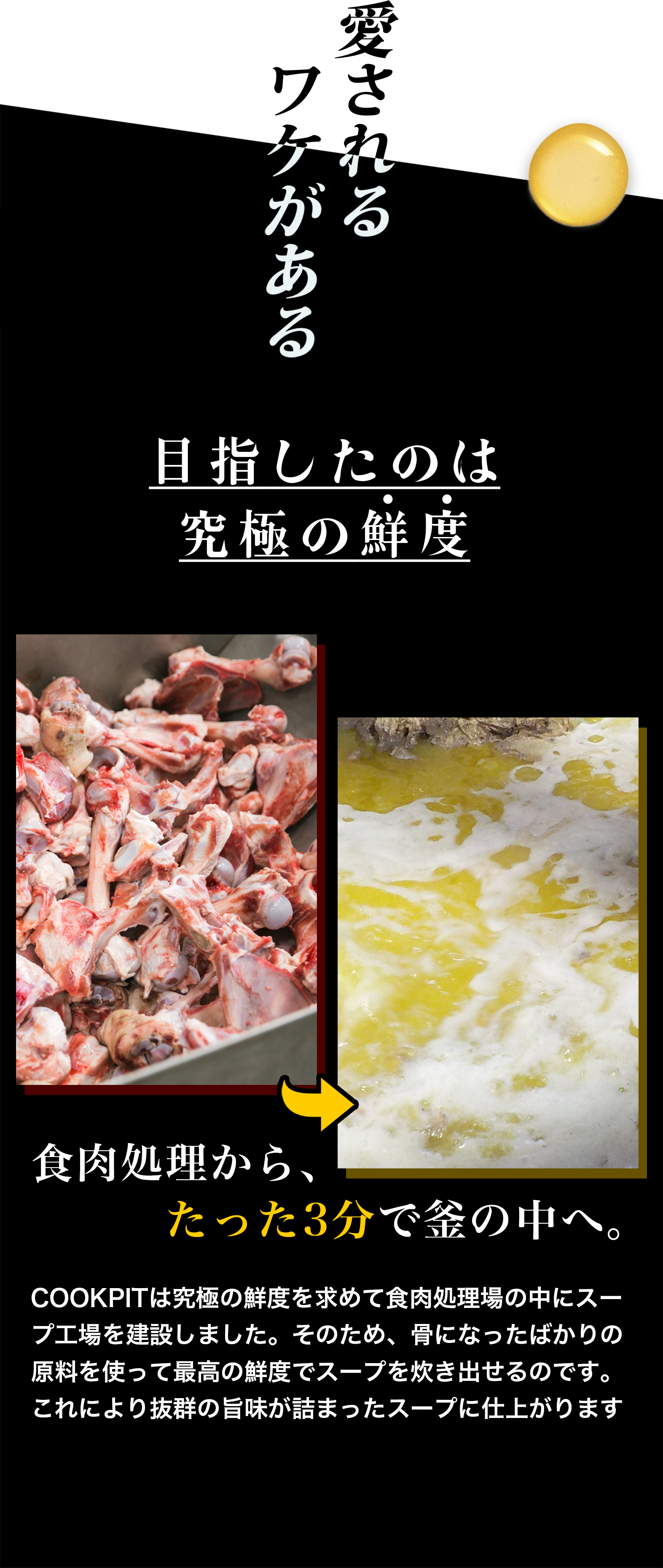 愛されるワケがある